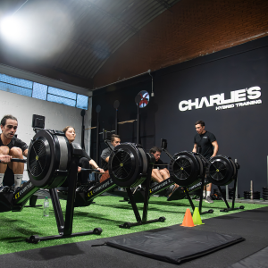 INICIO 16 2025 CUADRADOS SVET Charlie 1